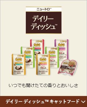 デイリーディッシュ