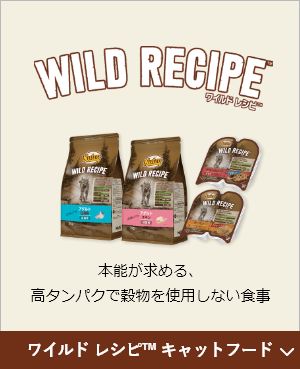 WILD RECIPE