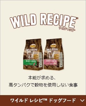 WILD RECIPE