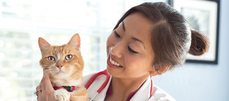 愛犬・愛猫と共同開発