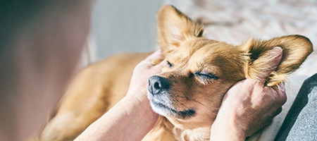 50種類以上の栄養素を配合