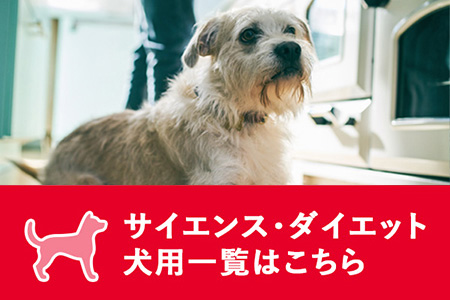 サイエンス・ダイエット犬用一覧