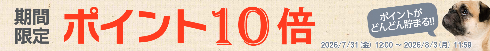 ポイント10倍！