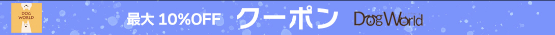 最大10%OFFクーポン