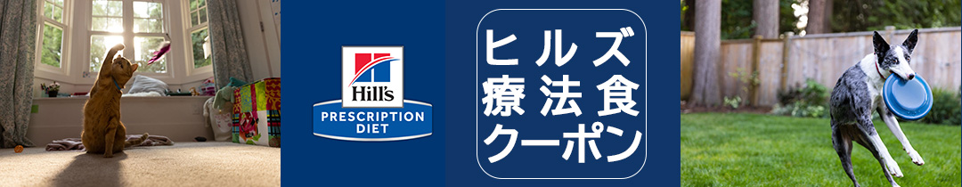 ヒルズのお得なクーポン