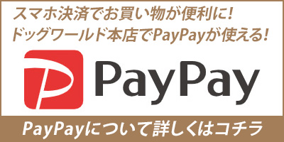 PayPay取り扱いスタート