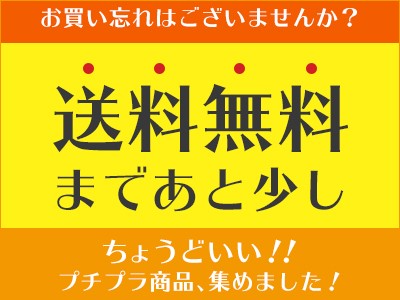 送料無料まであと少し！おすすめアイテム