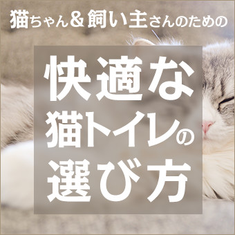 ネコちゃん＆飼い主さんのための快適な猫トイレの選び方
