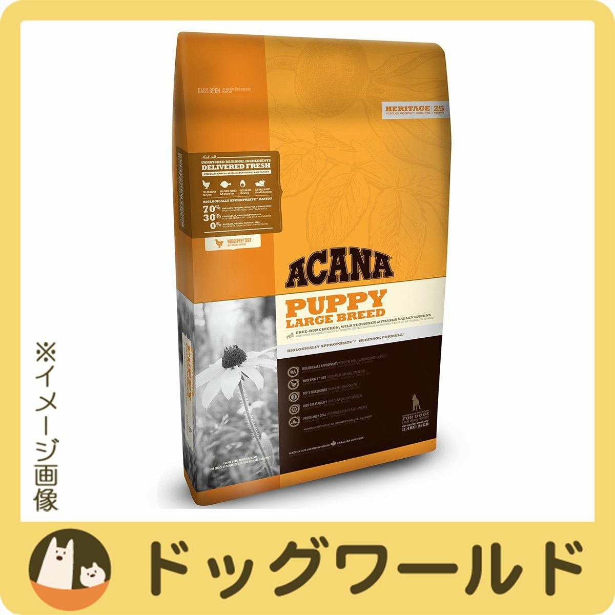 アカナ パピーラージブリード 11.4kg | ドッグワールド